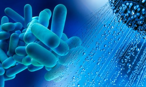 2015.08 – Nuove Linee Guida per la prevenzione e il controllo della Legionella